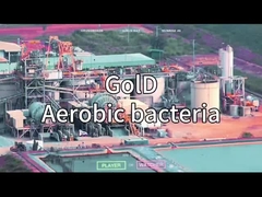 GERADOR DE OXIGÊNIO VSA VPSA